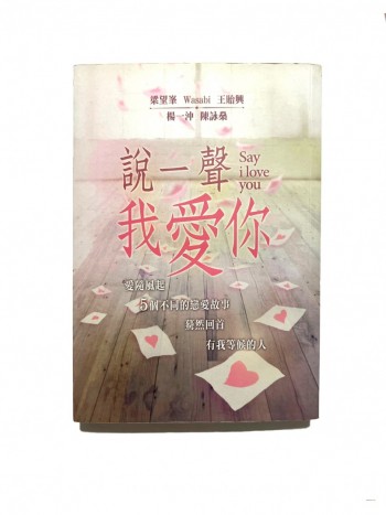 說一聲我愛你