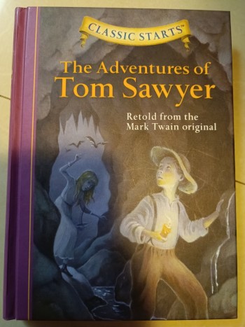 The Adventures of Ton Sawyer