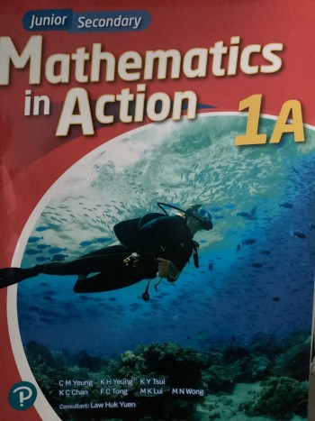 Secondary mathematics in action