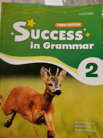 success in grammar 2