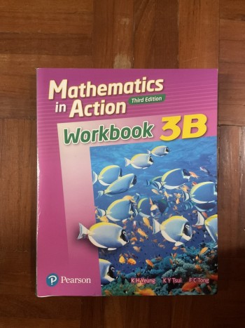 Mathematics in Action (third edition) Workbook 3B