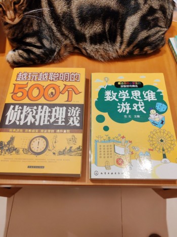 偵探推理遊戲及數學思維遊戲