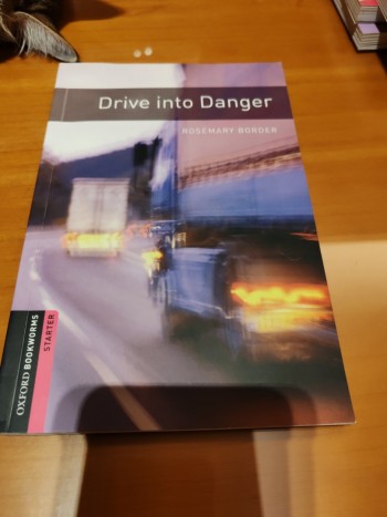 Drive into Danger