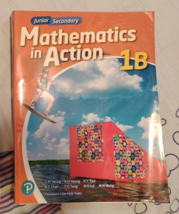 MATHEMATICS IN ACTION 1B