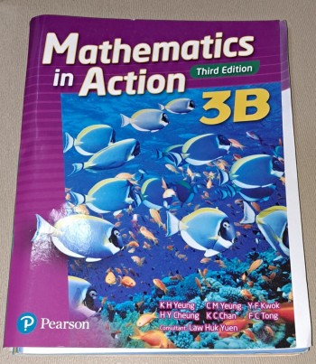 Mathematics in Action 3rd edition 3B