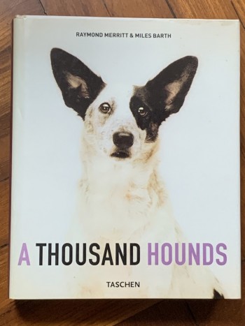 A Thousand Hounds