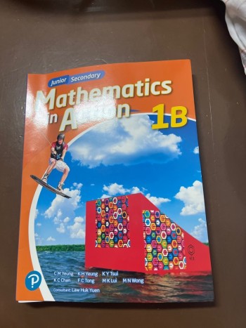 Junior Secondary Mathematics in action 1B
