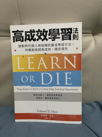 高成效學習法則