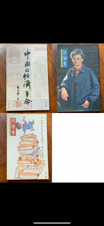 中國的經濟革命/憑欄集/隨意集