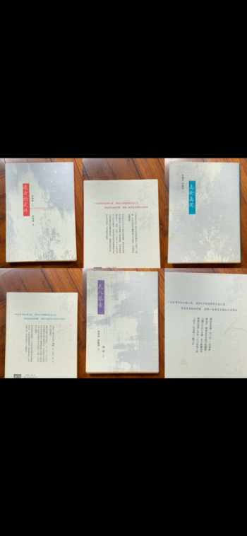 逝去的武林/高術莫用/武人琴音