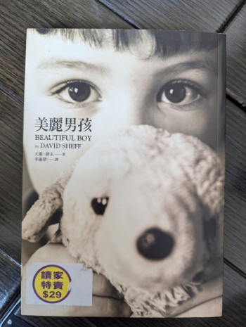 美麗男孩