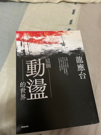 這個動盪的世界
