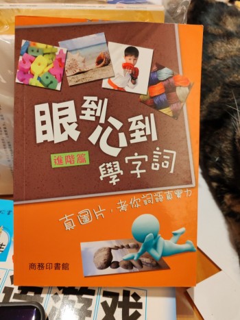 眼到心到 學字詞 進階篇