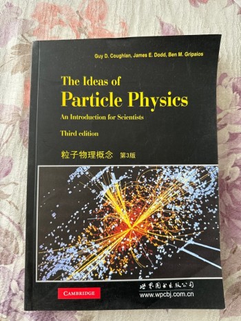 The ideas of particle physics