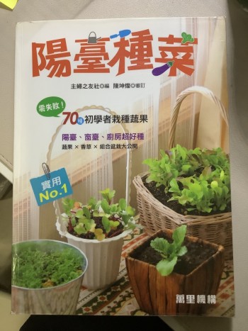 陽臺種菜