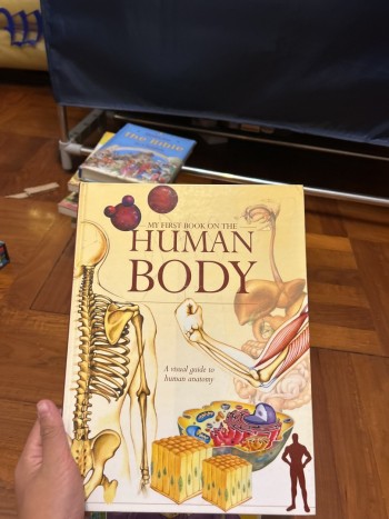 My First Book on the Human Body