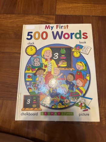 My First 500 words