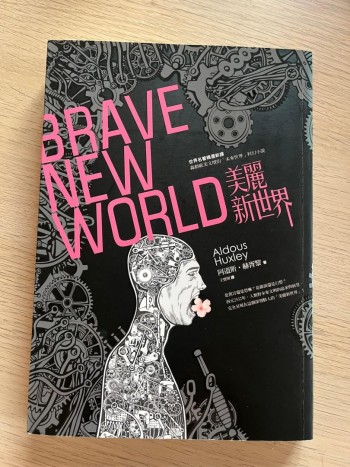 美麗新世界