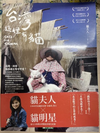 台灣這裡有貓