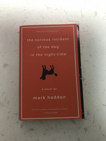 the curious incident of the dog in the night-time