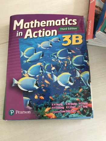 Mathematics In Action 3B