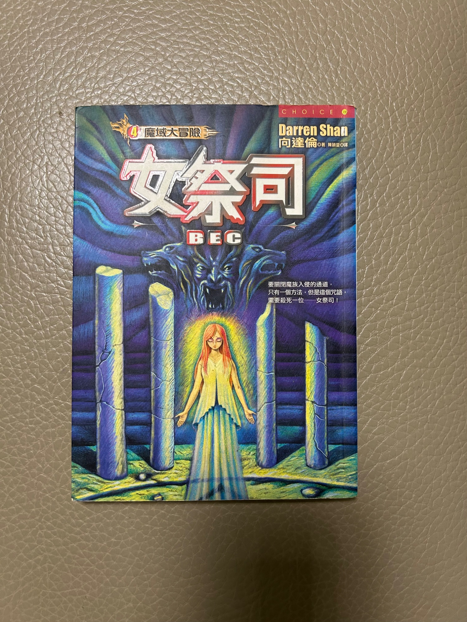 女祭司 (魔域大冒險系列)