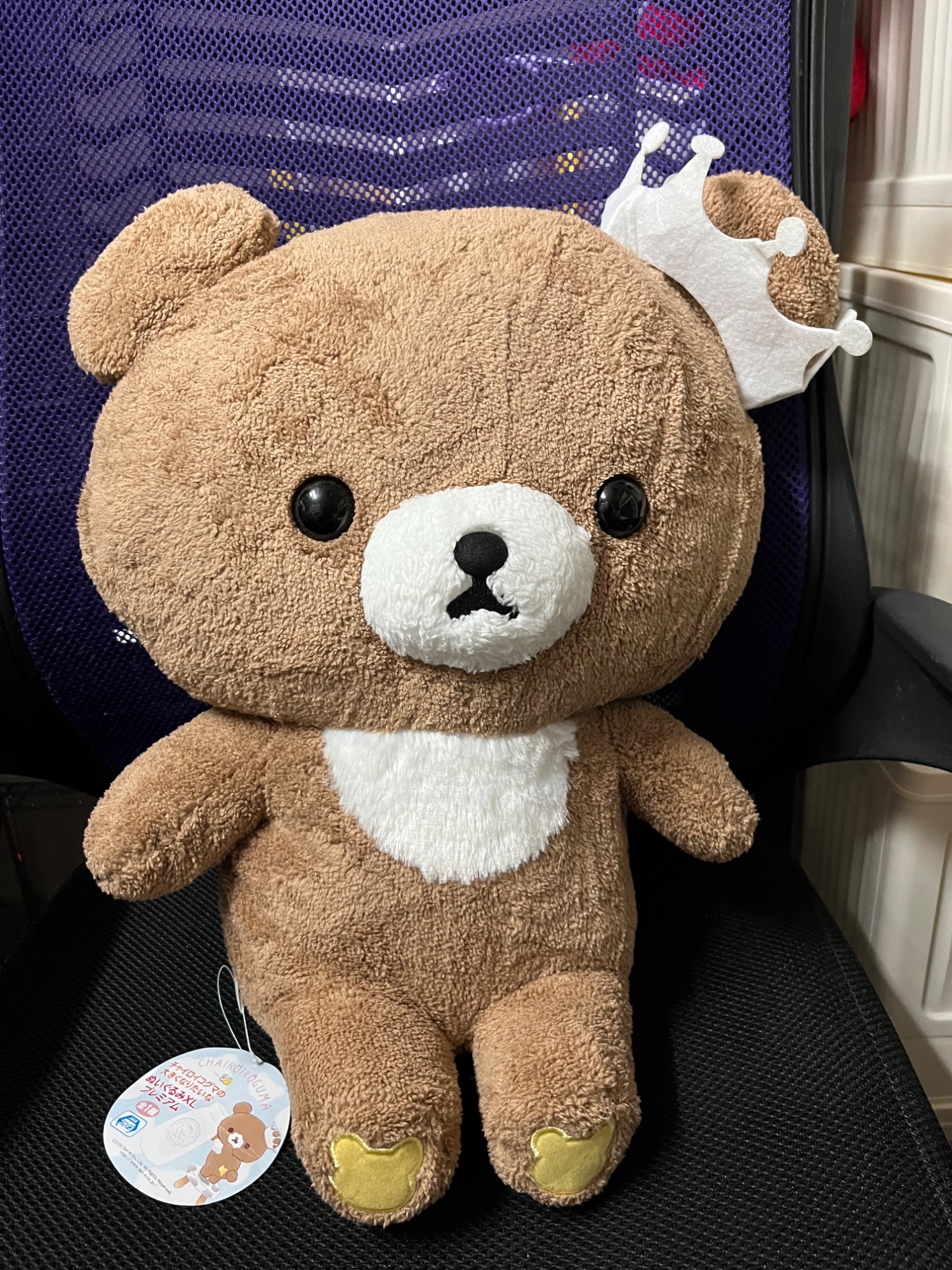 拉拉熊絨毛玩偶 - 5