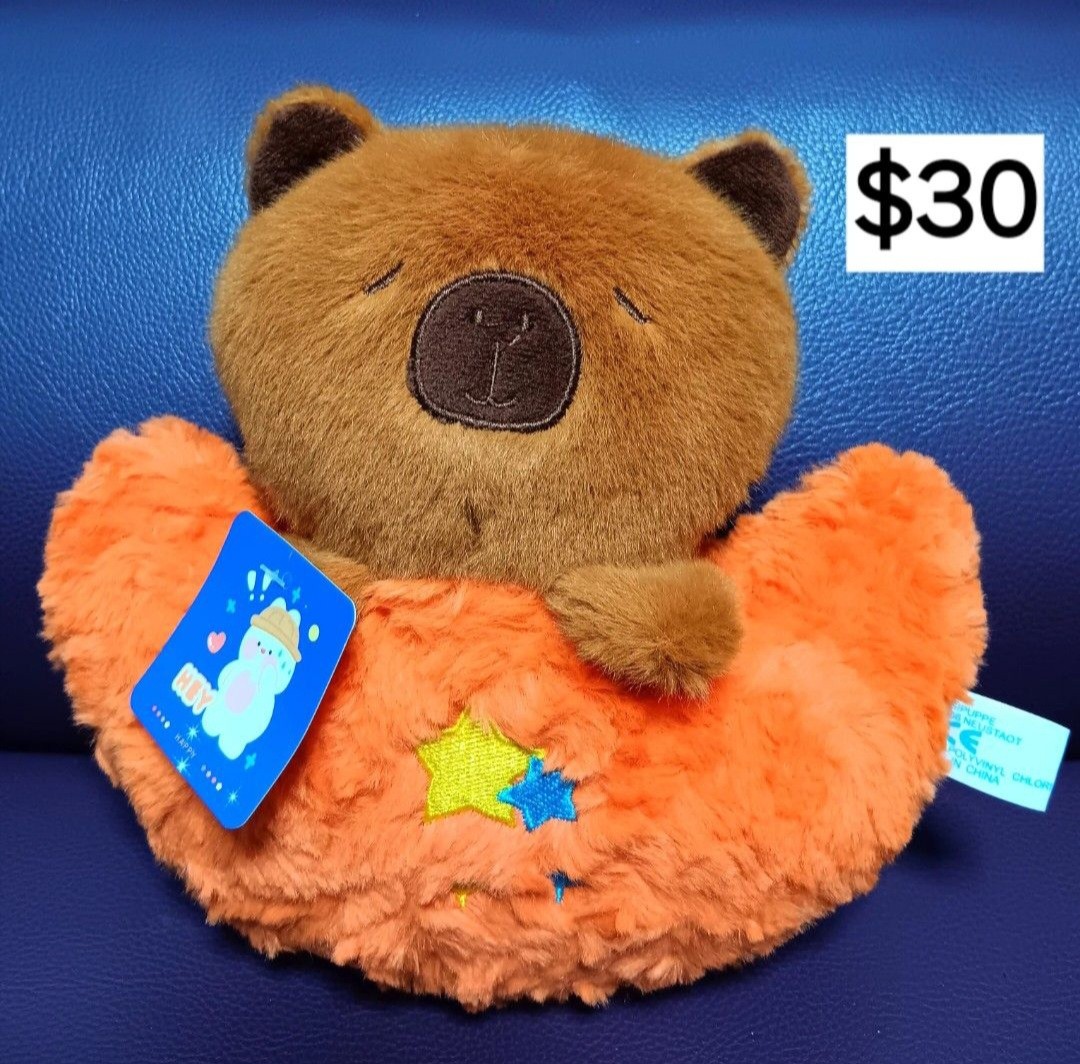 (只限將軍澳地鐵站)歐貂橙色月亮水豚