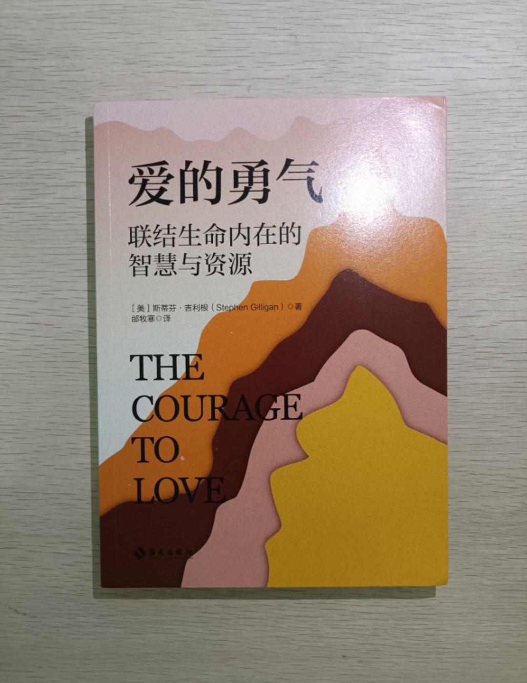 [ 正版 ] 愛的勇氣：聯結生命內在的智慧與資源 ( The courage to love ) ( 連透明包裝袋 ) - 史提芬吉利根