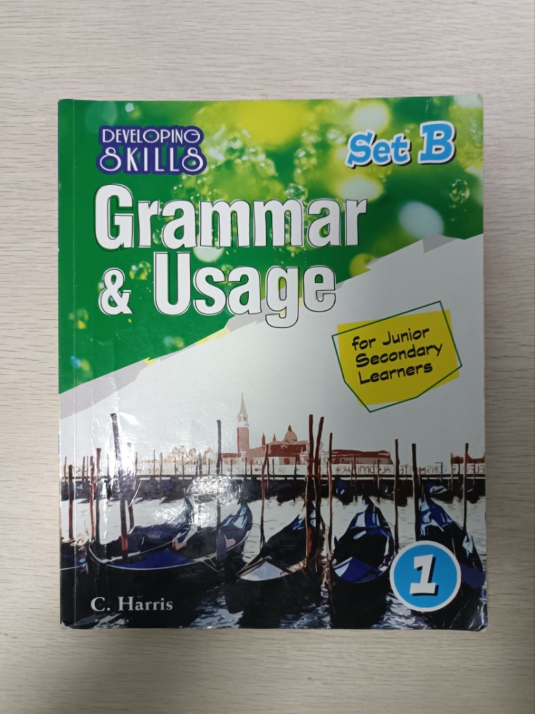 Developing skills Grammar & Usage 1 ( Set B ) ( For junior secondary learners )