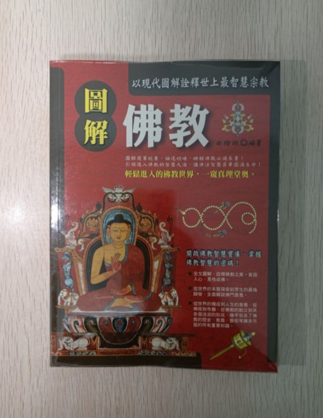 [ 正版 ] 圖解佛教：輕鬆進入的佛教世界，一窺真理堂奥！以現代圖解詮釋世上最智慧宗教！