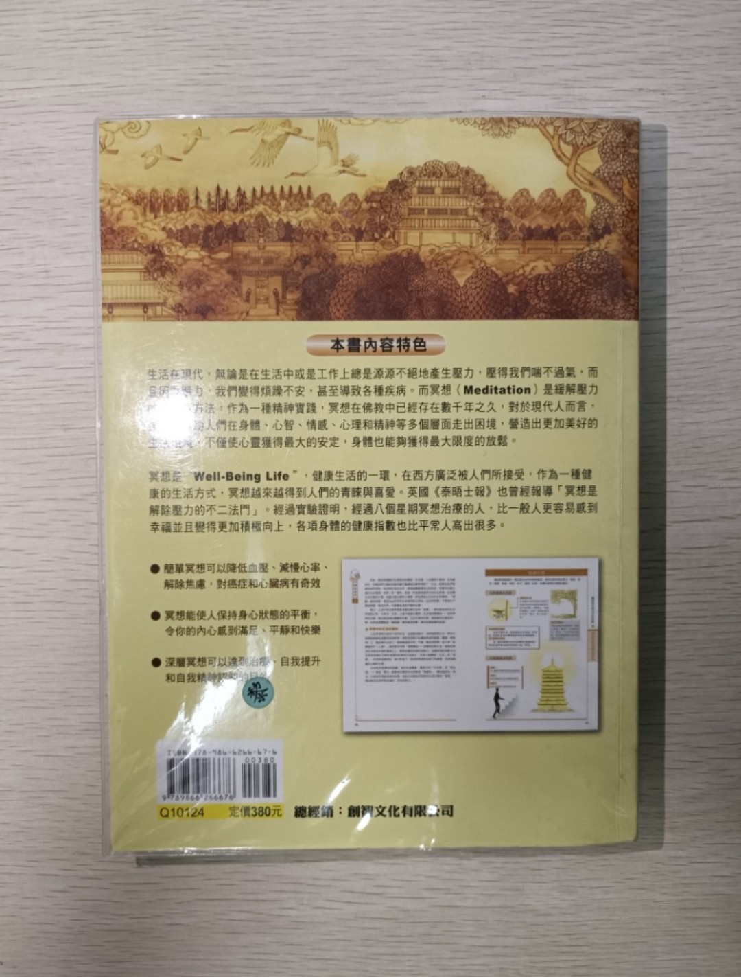 [ 正版 ] 圖解冥想：佛法中的心理療法，解除壓力的不二法門！靜心解脫法門，建立平靜健康、積極的心理機制！ - 2