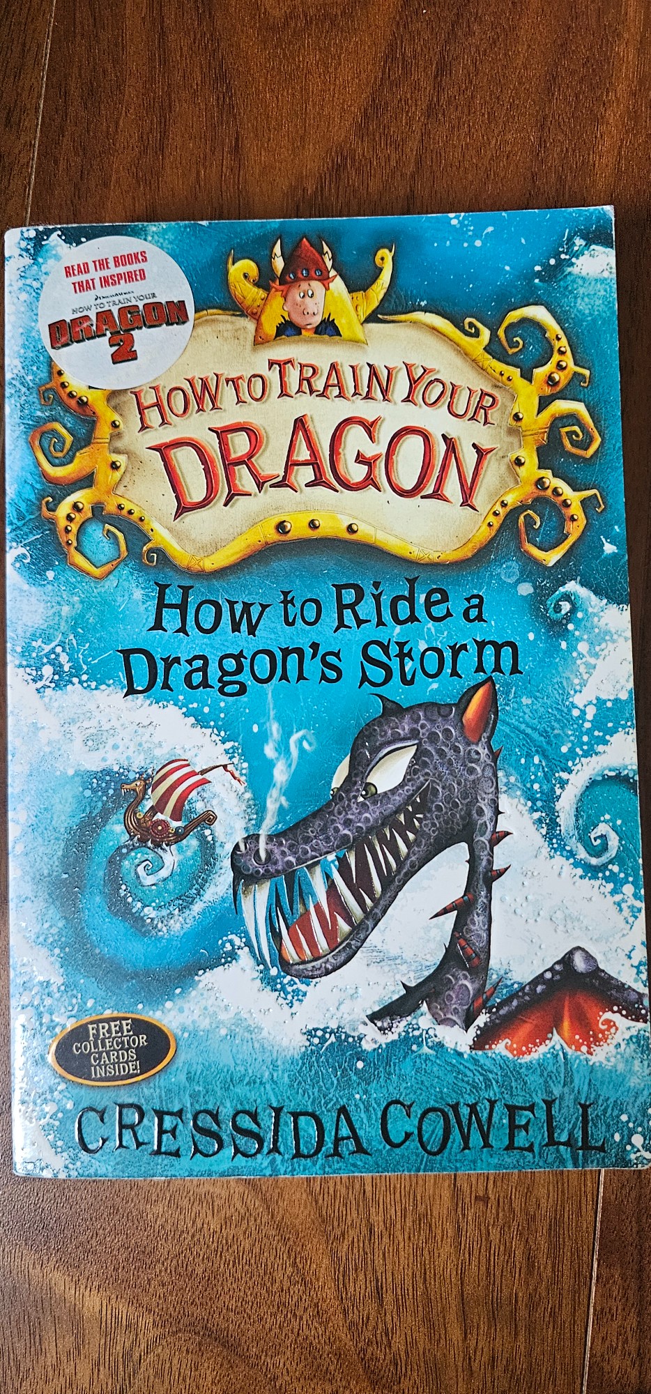 馴龍高手：如何駕馭巨龍的風暴