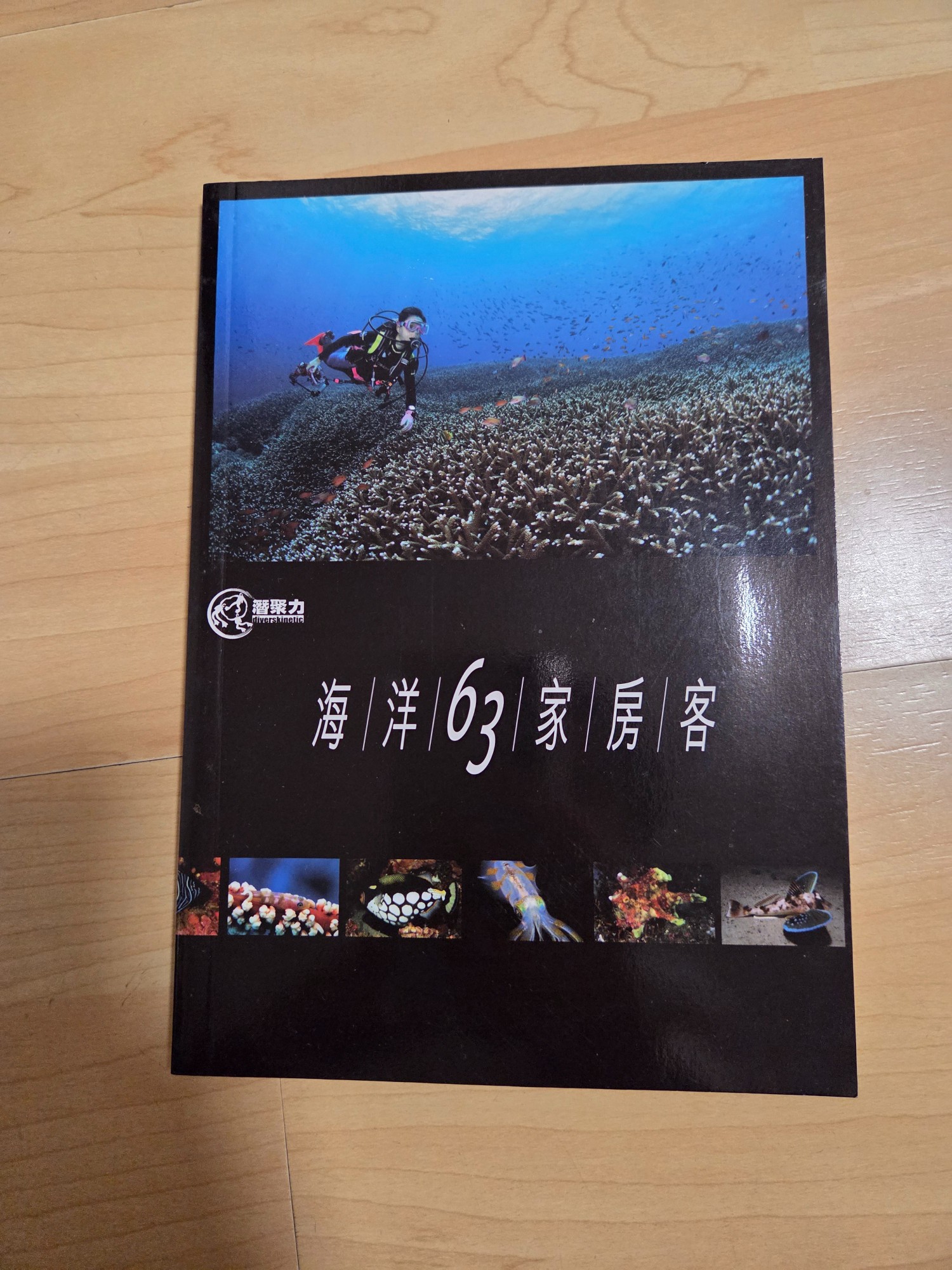 海洋63家房客