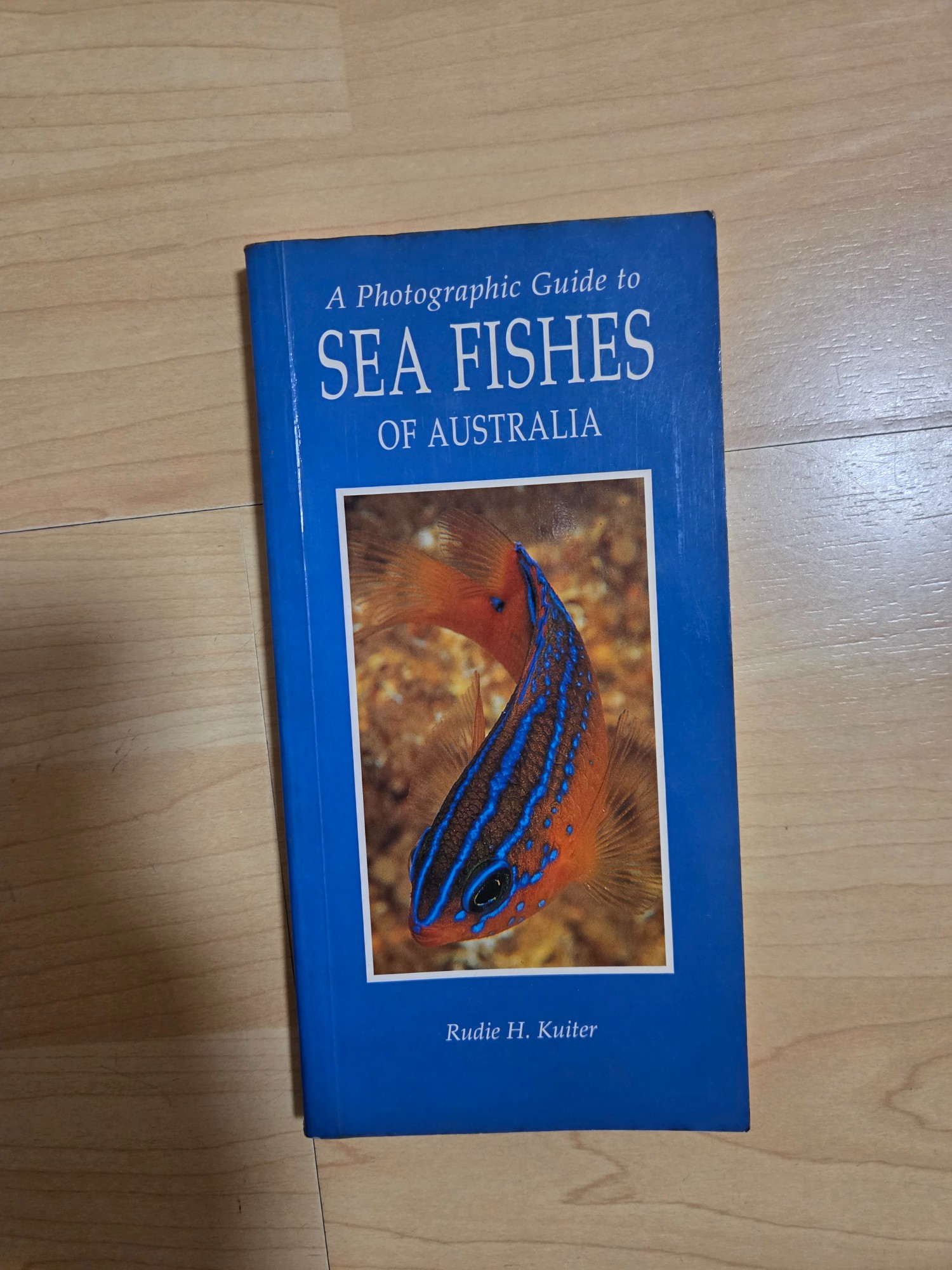 海魚攝影指南