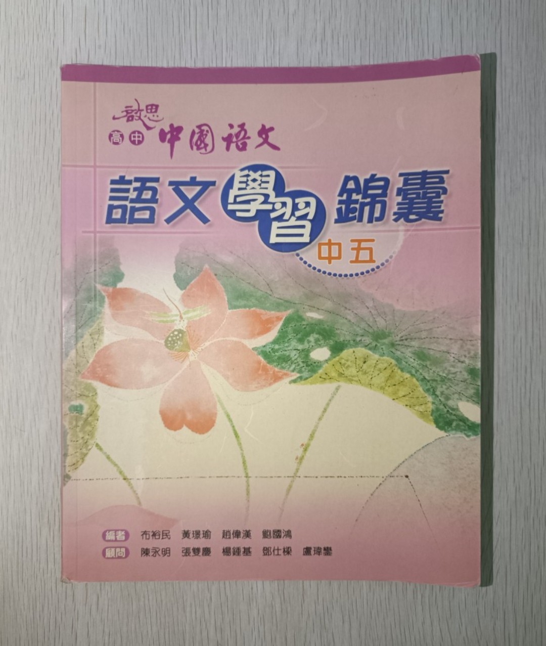 啟思 高中 中國語文 語文學習錦囊 ( 中五 )