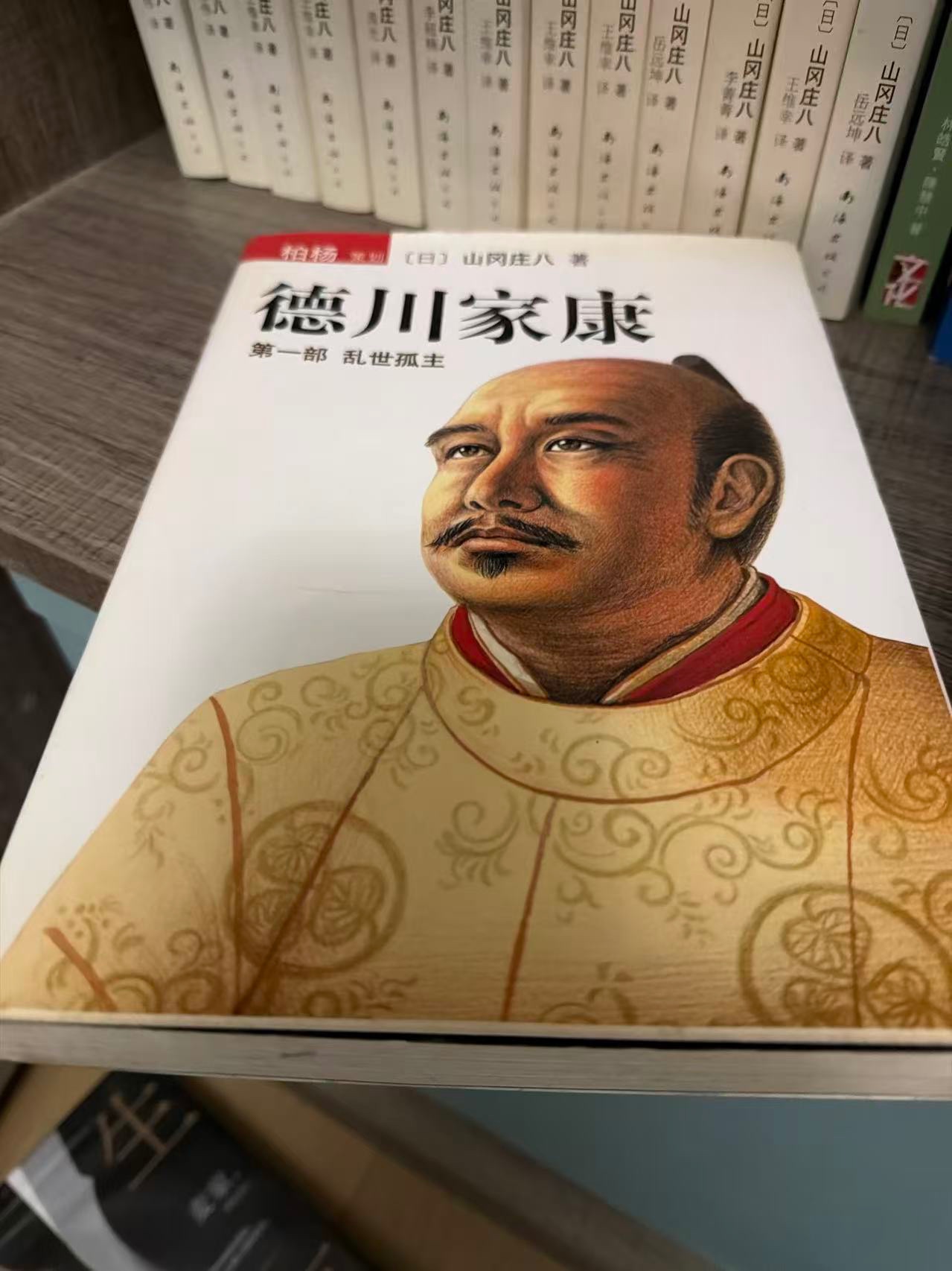 德川家康 (全套13本，簡體版)