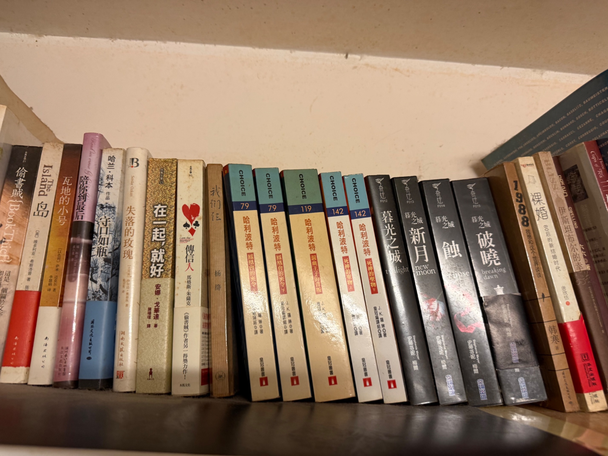 多類型中英文小說 - 5