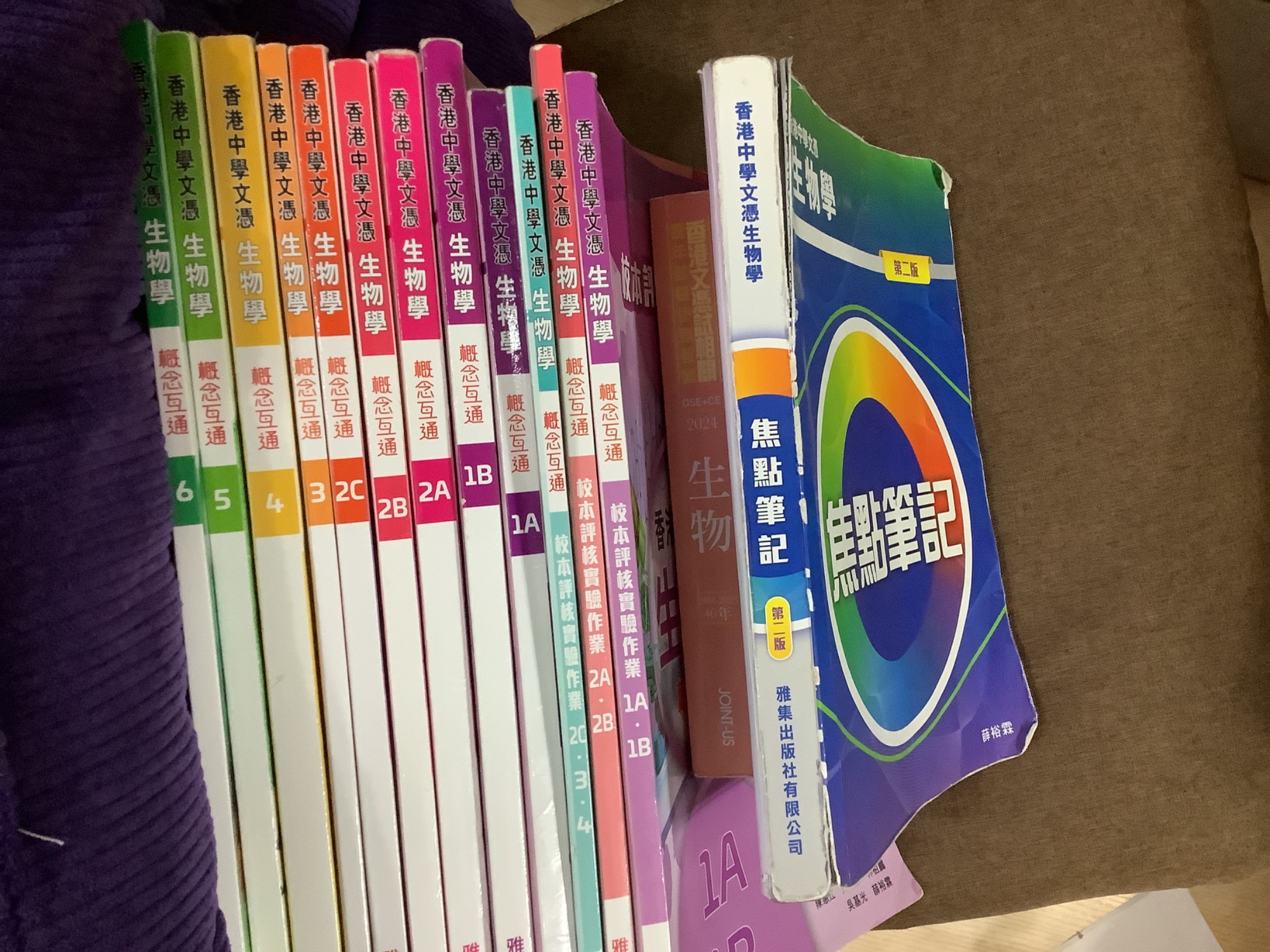 雅集