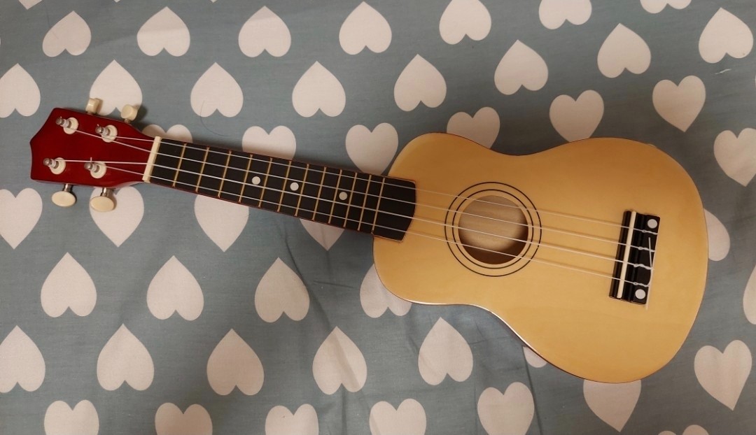 Ukulele 烏克麗麗 夏威夷小結他 21”+小結他套+24完全入門連CD - 3