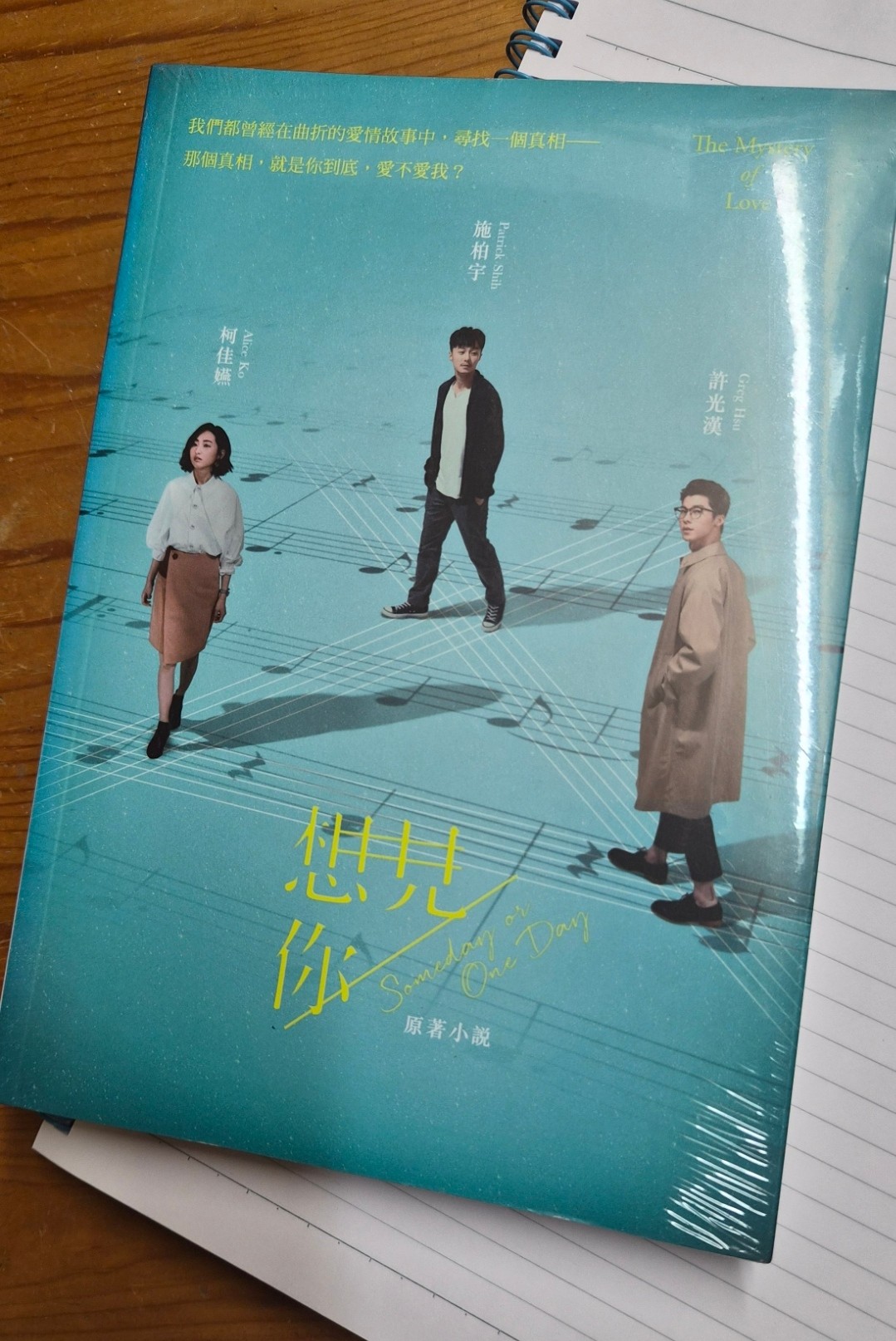 想見你 原著小說