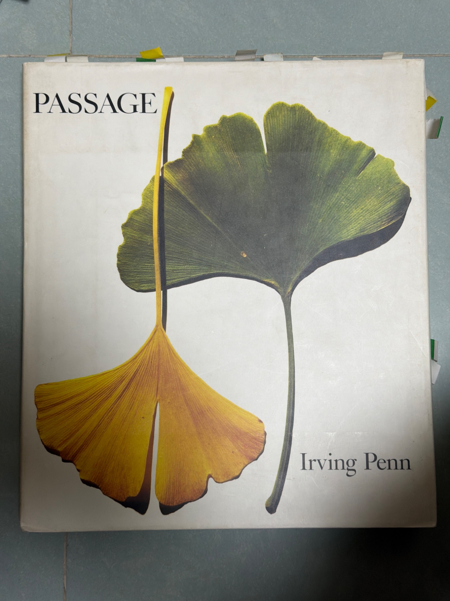 PASSAGE by Irving Penn