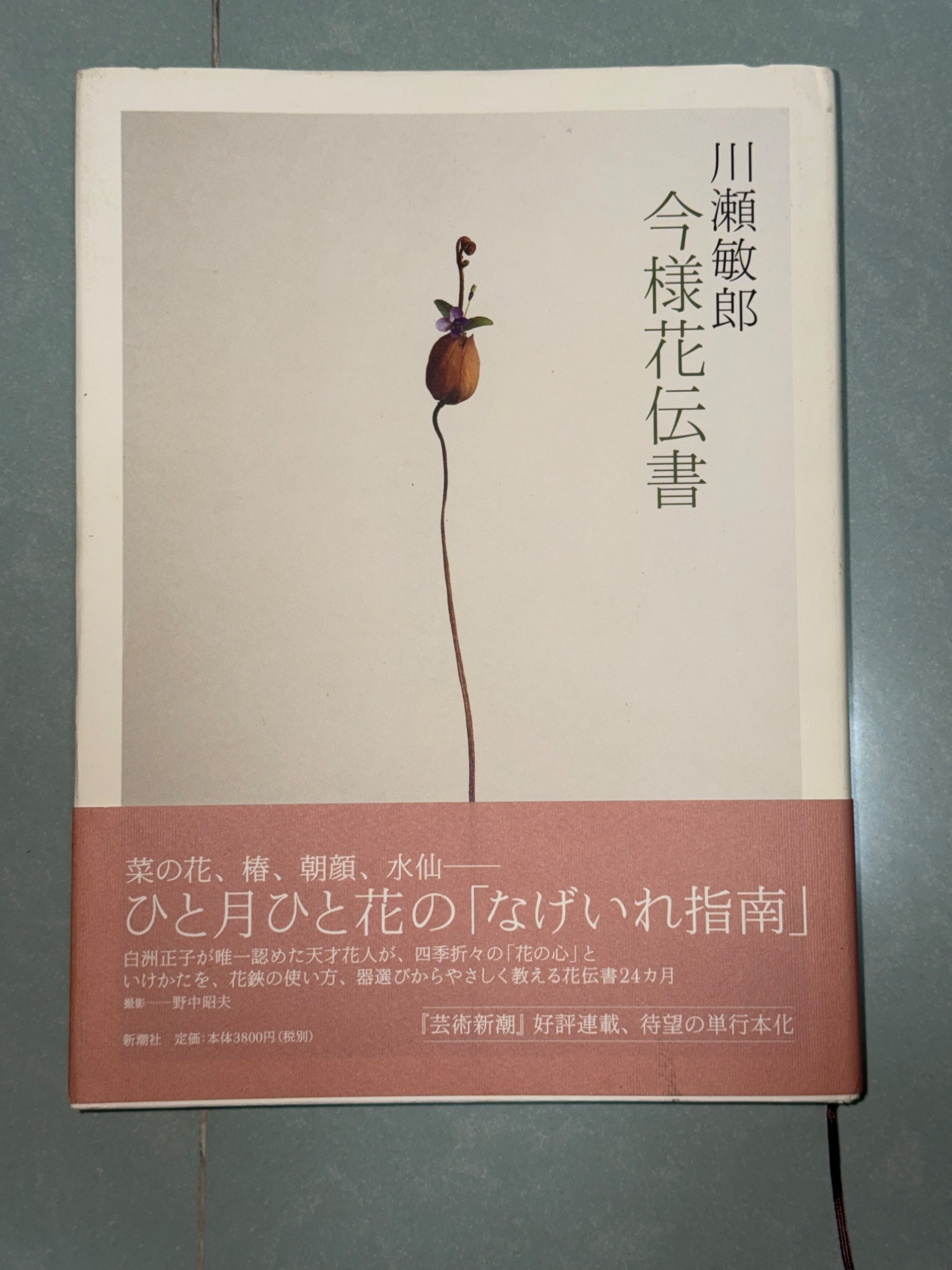 今様花伝書