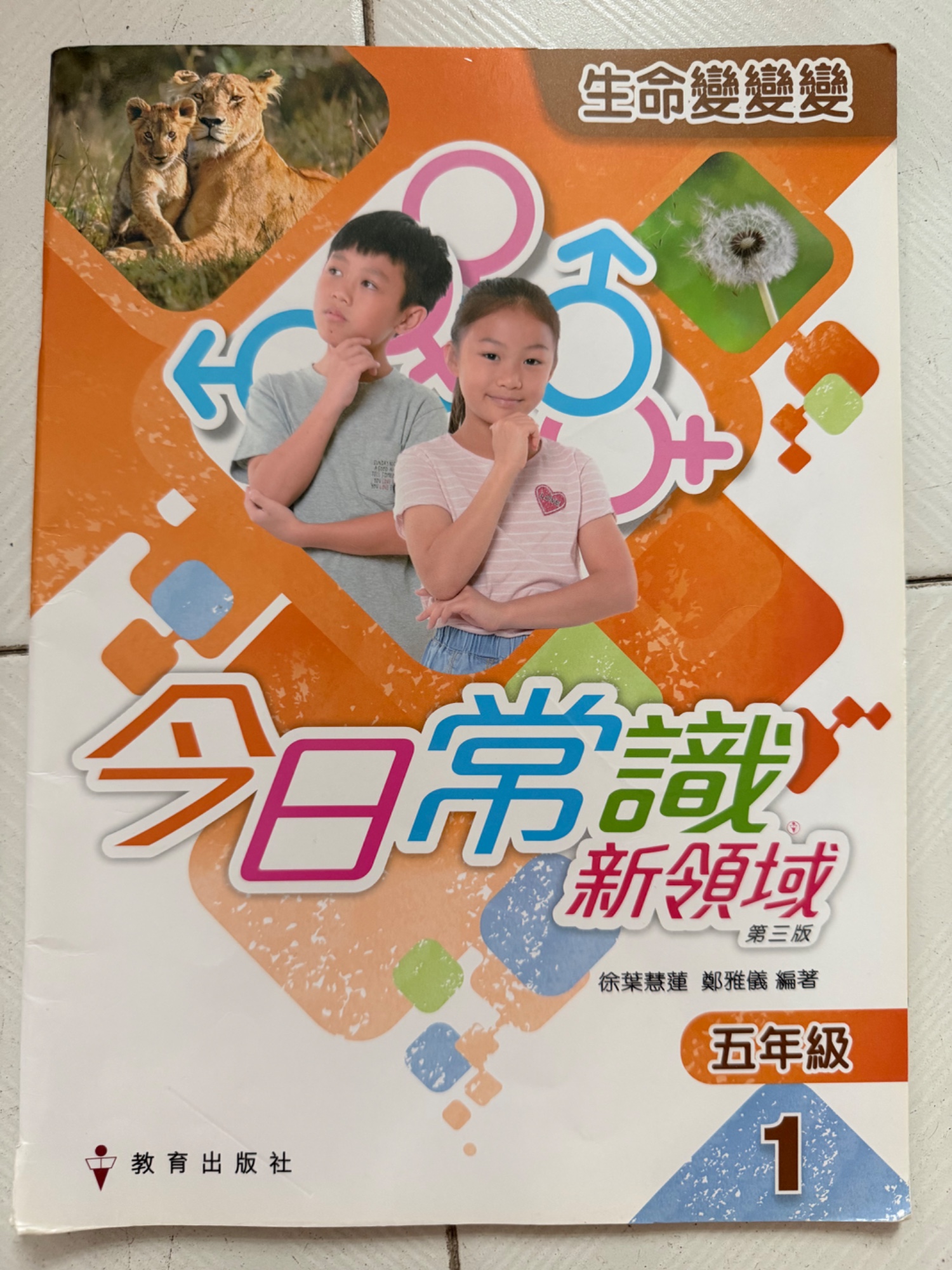 今日常識新領域 五年級 第3版