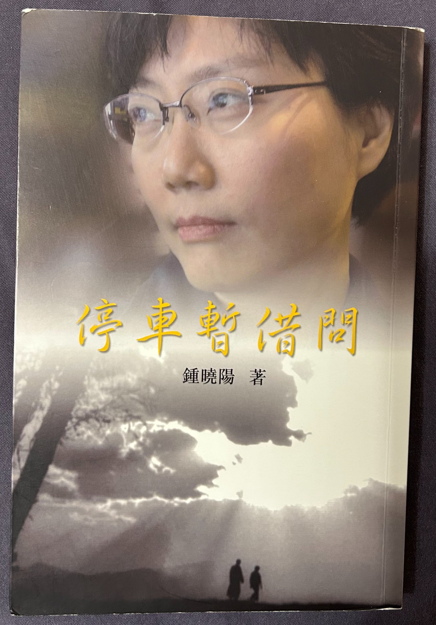 停車暫借問