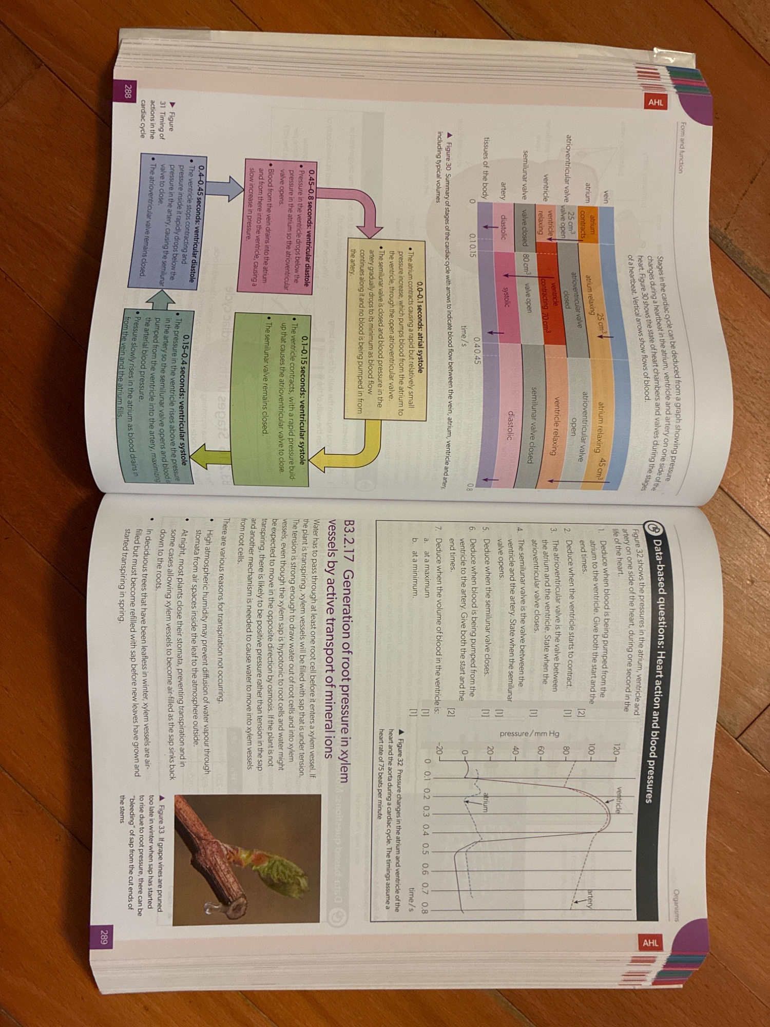 Oxford Resources for IB DP Biology Course Book - 2