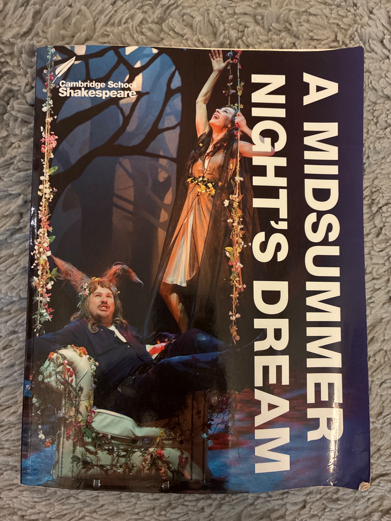 A midsummer night’s dream