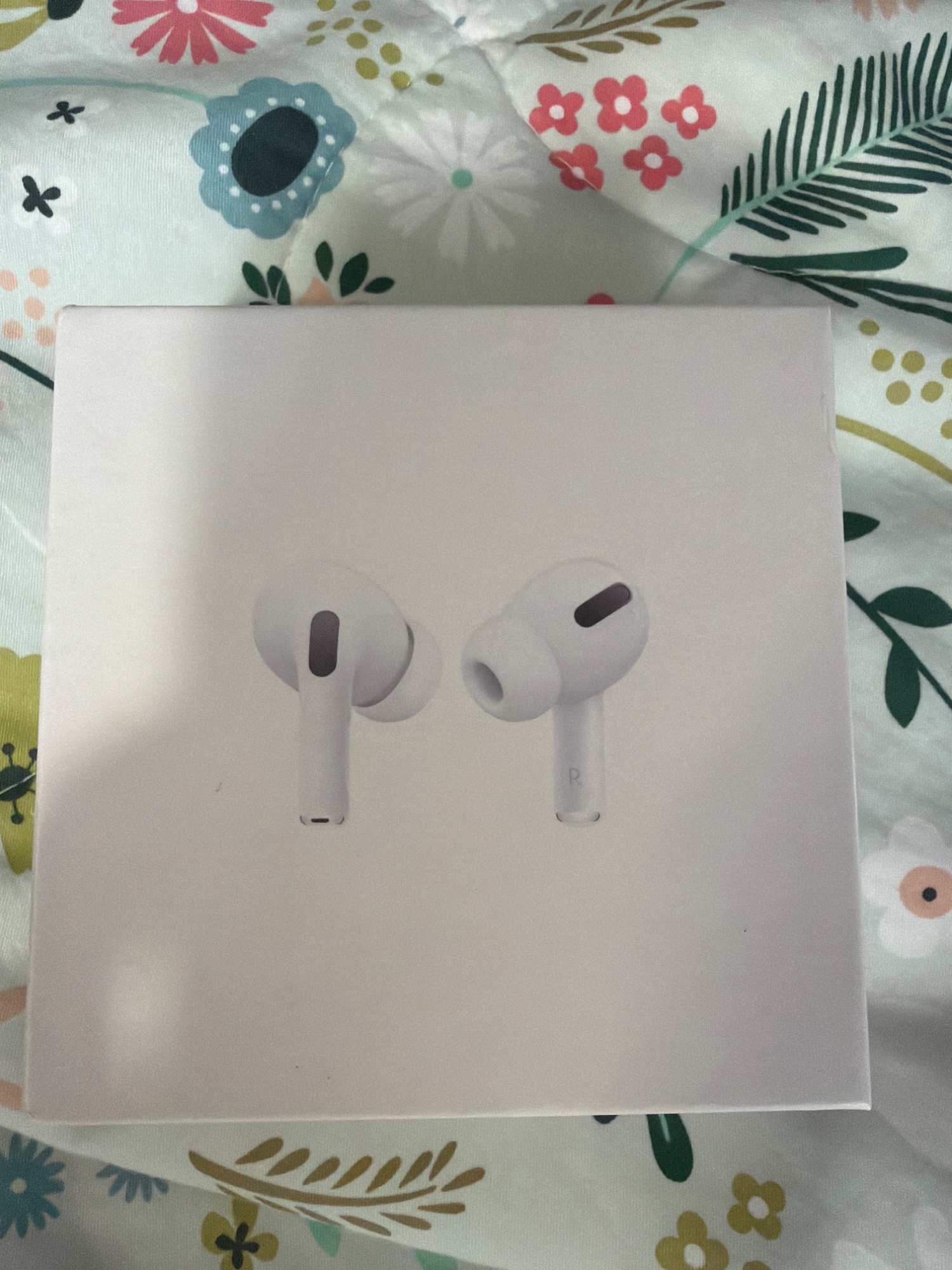 Earphone